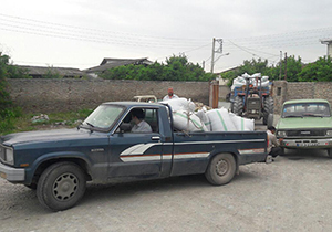 آغاز خرید تضمینی کلزا در گلستان