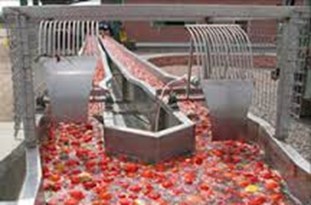 مغفول ماندن بخش صنعت از کشاورزی/ ایجاد اشتغال و ارزش افزوده با توسعه صنایع تبدیلی و تکمیلی در گلستان