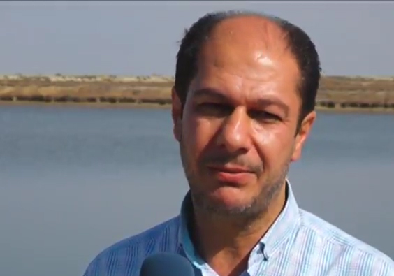 رکورد تولید میگوی وانامی در ایران