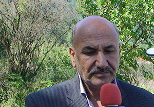 آغاز برداشت گل گاوزبان در گلستان