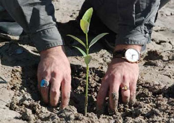 کاشت 600 نهال خرمالو توسط سپاه نینوا استان گلستان