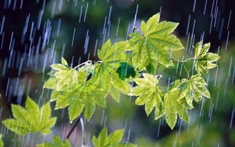 بارش پراکنده باران طی هفته جاری در گلستان / پیش بینی یک هفته ای آب و هوای استان