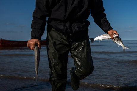 دستگیری 9 صیاد غیر مجاز در گلستان