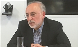 بعد از انتخابات آمریکا شاید برجام روزهای سختی داشته باشد/ ایران صبور است !