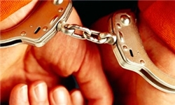 رئیس محیط زیست پاکدشت هم بازداشت شد