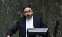  90 درصد تسهیلات بانک سرمایه در اختیار 30 نفر قرار گرفت 