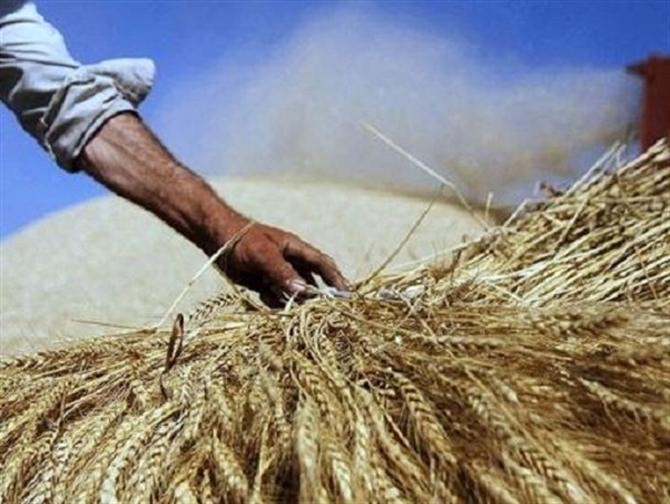 برای خرید کالای خارجی یک شبه پول تامین می‌شود اما برای پرداخت کشاورزان زحمت‌کش ایرانی اعتبار ندارند!