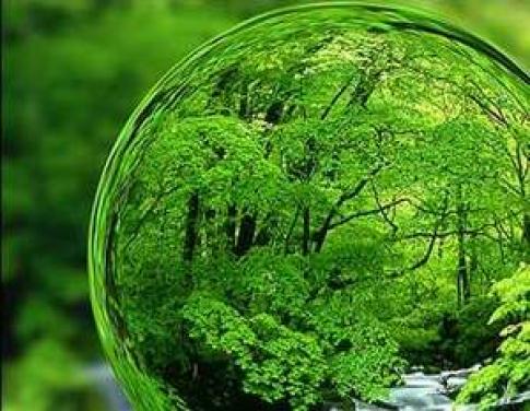 ماهی های قرمز تهدیدی برای حیات سایر آبزیان/ماهی قرمز یک گونه مهاجم و همه چیز خوار