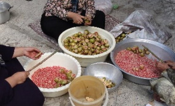 عکس/ اِنارتیم (ناردنگ) سوغاتی ترش از روستاهای استان گلستان