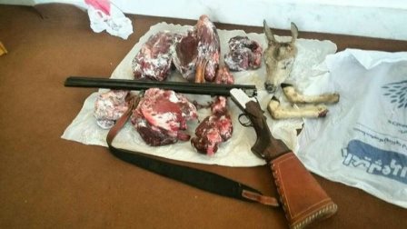 ۱۳ کیلوگرم گوشت حیوان حمایت شده پارک ملی گلستان کشف شد