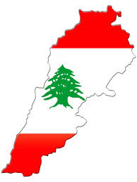 فقط 20 کیلومتر مربع از شرق لبنان در دست داعش است 