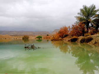 سیلاب جان 2 نفر را در خراسان گرفت 