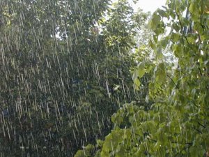 بارش پراکنده در تعدادی از استان‌ها