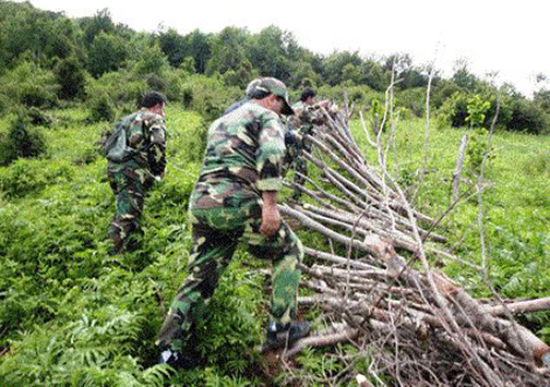رفع تصرف ۳ هزار متر از اراضی ملی در گلستان 