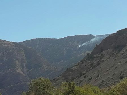 آتش سوزی منطقه سرانی شیروان در مرز ایران و ترکمنستان مهار شد