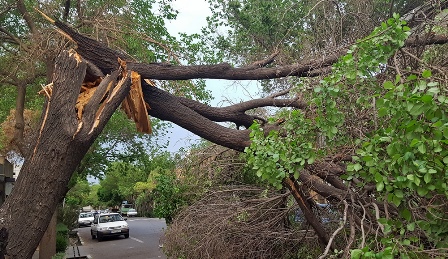 وزش باد نسبتا شدید در ۸ استان کشور/ آسمان ۳ شهر ایران بارانی است