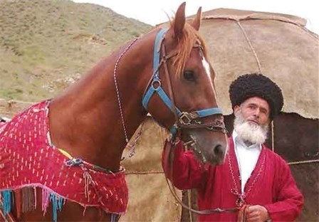  خراسان شمالی تنها استانی که کارگروه اسب به منظورصادرات تشکیل داده است