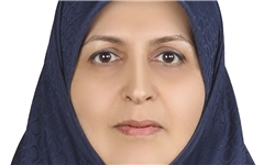 وزارت امور خارجه توانسته ائتلاف کشورها به رهبری آمریکا و رژیم صهیونیستی علیه کشورمان را متزلزل کند