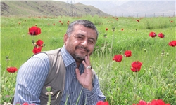 مراسم پاسداشت شهید مدافع اسماعیل حیدری برگزار شد