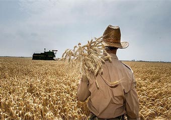 بیش از یک‌هزار و ۴۰ میلیارد تومان طلب گندم‌کاران گلستانی پرداخت شد 