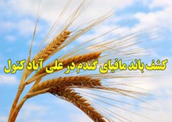 تلاش برای کشف ابعاد پنهان باند مافیای گندم در علی آبادکتول