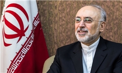 صالحی: آمریکا از توافق خارج شود ولی اروپا بماند، ایران احتمالاً به برجام پایبند می‌ماند