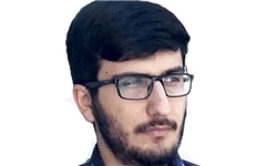 قوای سه‌گانه پیگیری‌های سیاسی و حقوقی لازم برای توقف سریع‌تر کشتار مسلمانان میانمار را انجام دهند