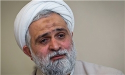 برخی جریان‌ها در مقابل نسل‌کشی مسلمانان میانمار خفه شده‌اند/ جایزه صلح نوبل نتیجه همراهی با آمریکا و اسرائیل است
