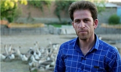 مهندس کامپیوتری که غاز می‌چراند!