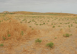 ثبت ملی توقلق تپه و شاه محمدتپه گلستان 