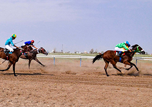 مسابقات قهرمانی کورس اسبدوانی در گلستان 