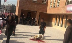 توضیح آموزش و پرورش درباره ذبح گوسفند در یک مدرسه