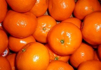 بعد از گرانی تخم مرغ نوبت به گرانی عجیب نارنگی رسید 