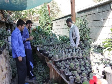 همت دو برادر رامیانی در پرورش گل در حیاط منزل