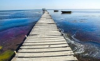 افزایش تراز آب به هر قیمتی، نجات‌دهنده خلیج گرگان نیست