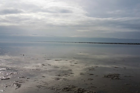 کمبود آب شیرین؛ چالش بزرگ تالاب میانکاله