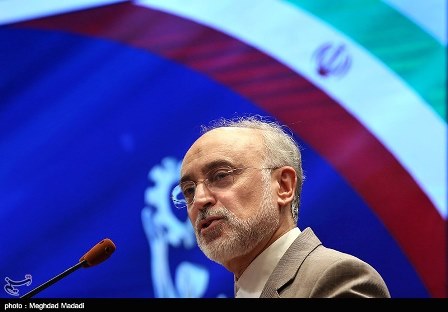 صالحی: نگرش خصمانه آمریکا مخالف متن و روح برجام است 