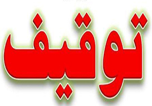 دولت چند صدایی یعنی این؟!