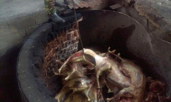 توزیع و فروش گوشت‌های آلوده به تب برفکی +تصاویر