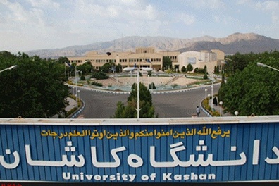 جزئیات مرگ دانشجوی نخبه دانشگاه کاشان/ معاون دانشجویی دانشگاه: مرحوم «آقایی» مشکل مالی نداشته است