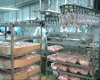 عرضه و توزیع مرغ منجمد یارانه ای در گلستان