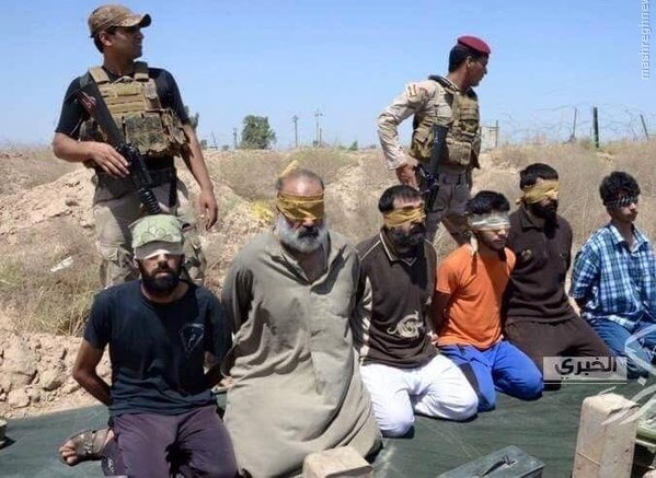منابع میدانی از اسارت دهها تروریست تکفیری داعشی حین فرار ازاز الگرمه فلوجه خبر دادند+عکس و فیلم 