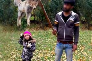 کشتار سریالی روباه ادامه دارد +عکس