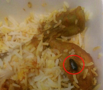 پیدا شدن سوسک در غذای سلف دانشگاه + تصاویر