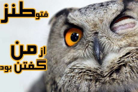 فقط با جنبه ها وارد شوند/ استراحت مطلق حداد عادل /ماجرای یارانه 250 هزارتومانی در مجلس/ قیمت نجومی گوجه سبز +تصاویر 