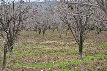 کشف زمين‌خواري 10 ميلياردي در گلستان 
