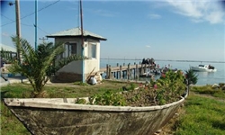 واگذاری آشوراده به افراد ذی نفوذ مصداق بارز زمین خواری است