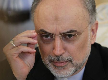 ماجرای دستگیری جاسوس در خانه صالحی