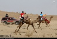 مسابقه شتر دواني در شهرستان تركمن برگزار مي شود