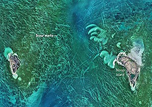 راز چهرهای خراشخورده و پرخط و خش های مرموز دریای خزر فاش شد 